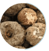 Konjac extract fiber ingredient