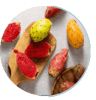 Prickly pear extract ingredient